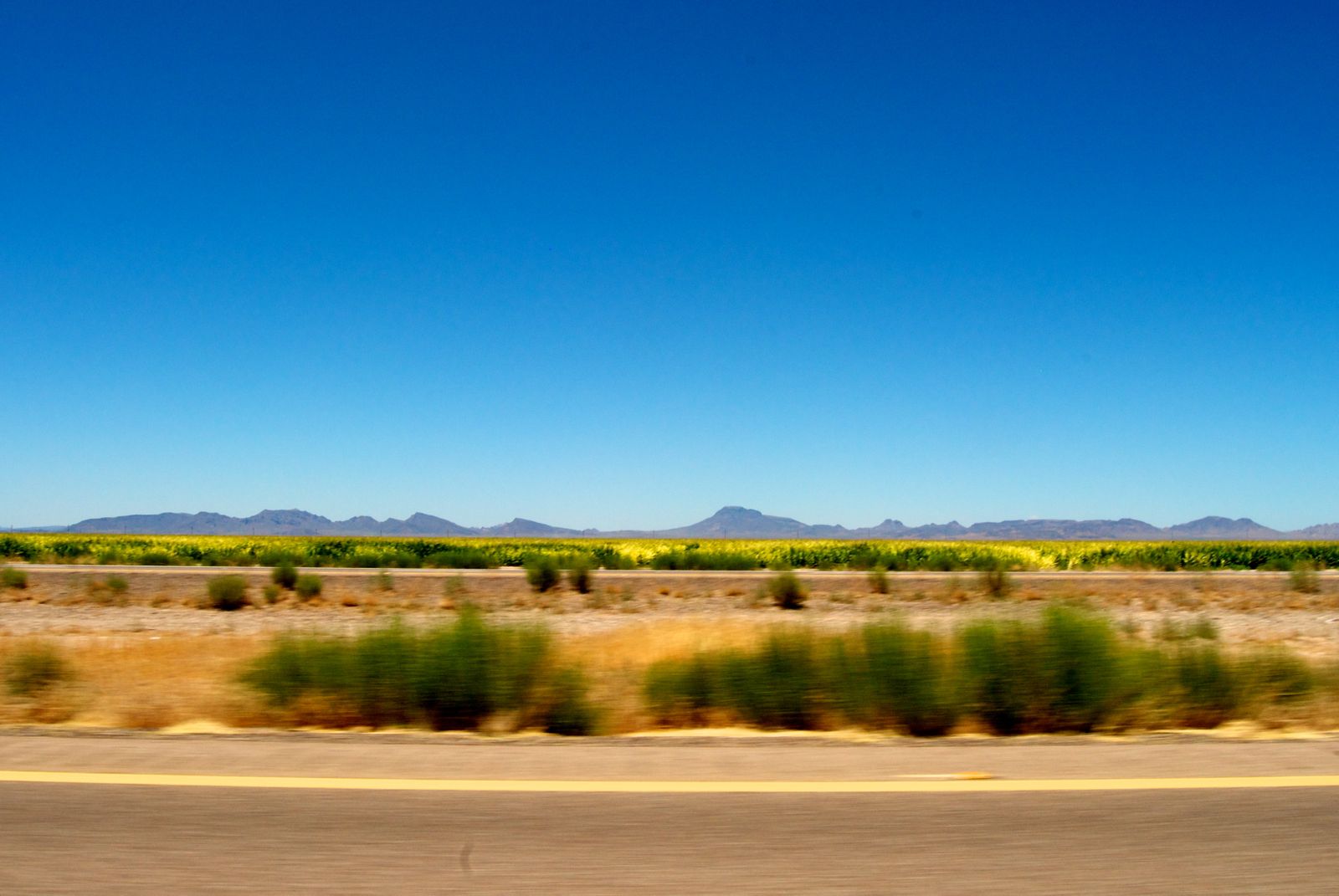 Queen Creek, AZ | Data USA