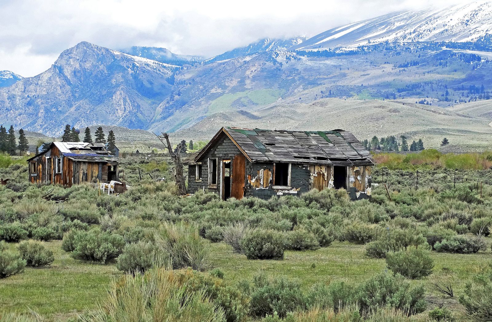 Mono City, CA Data USA