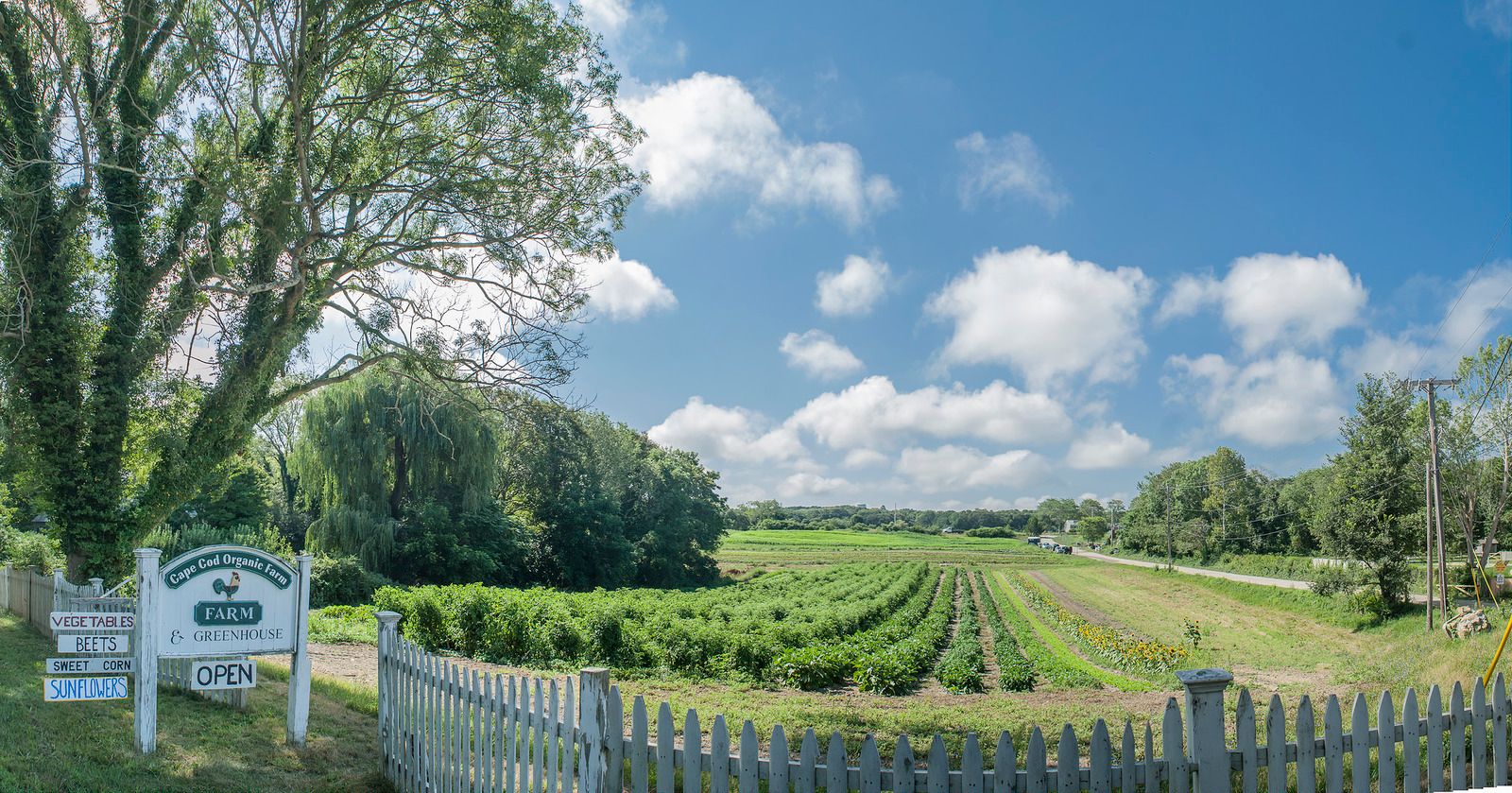 Barnstable Town, MA Data USA