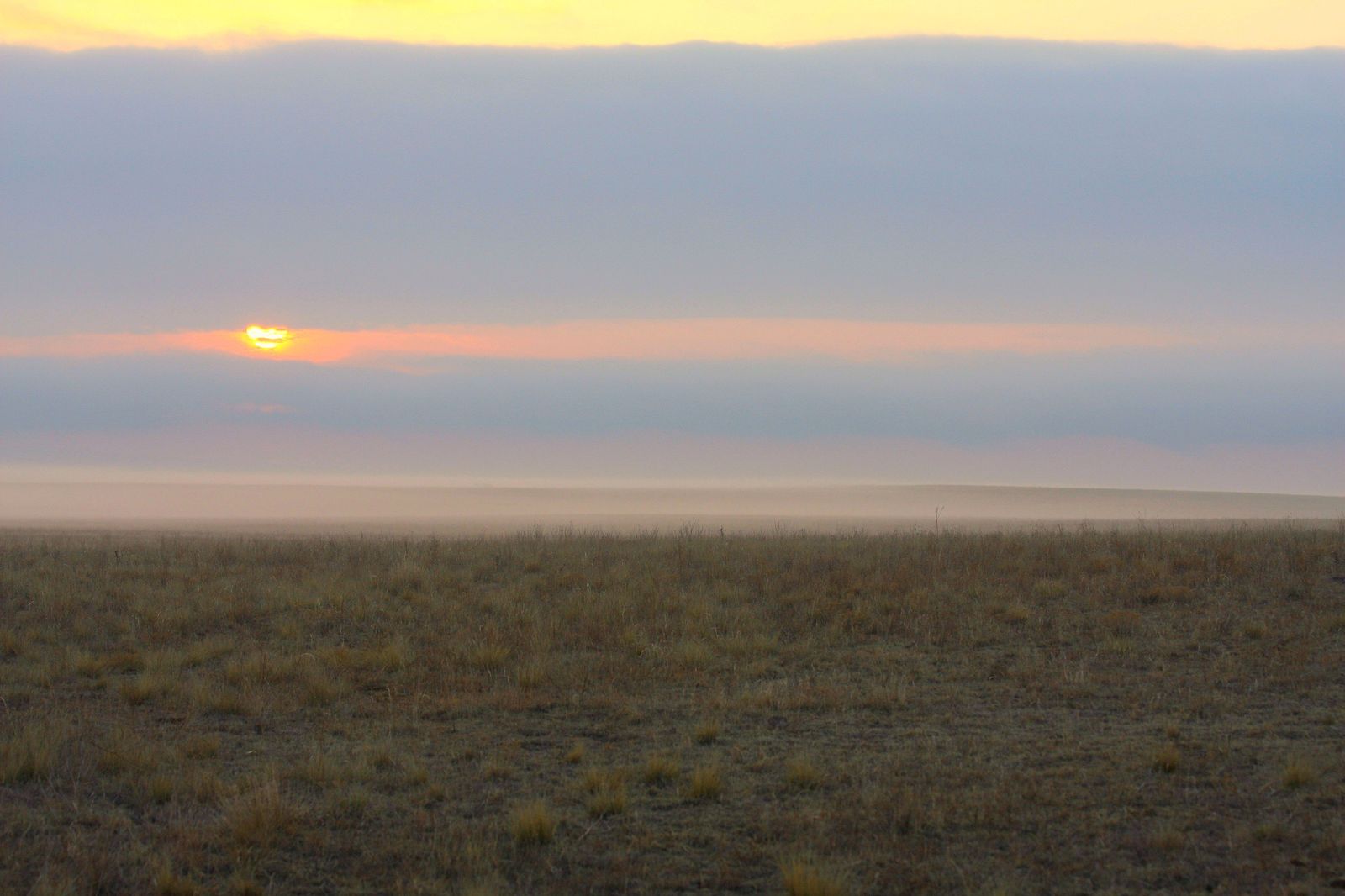 Tucumcari NM Data USA