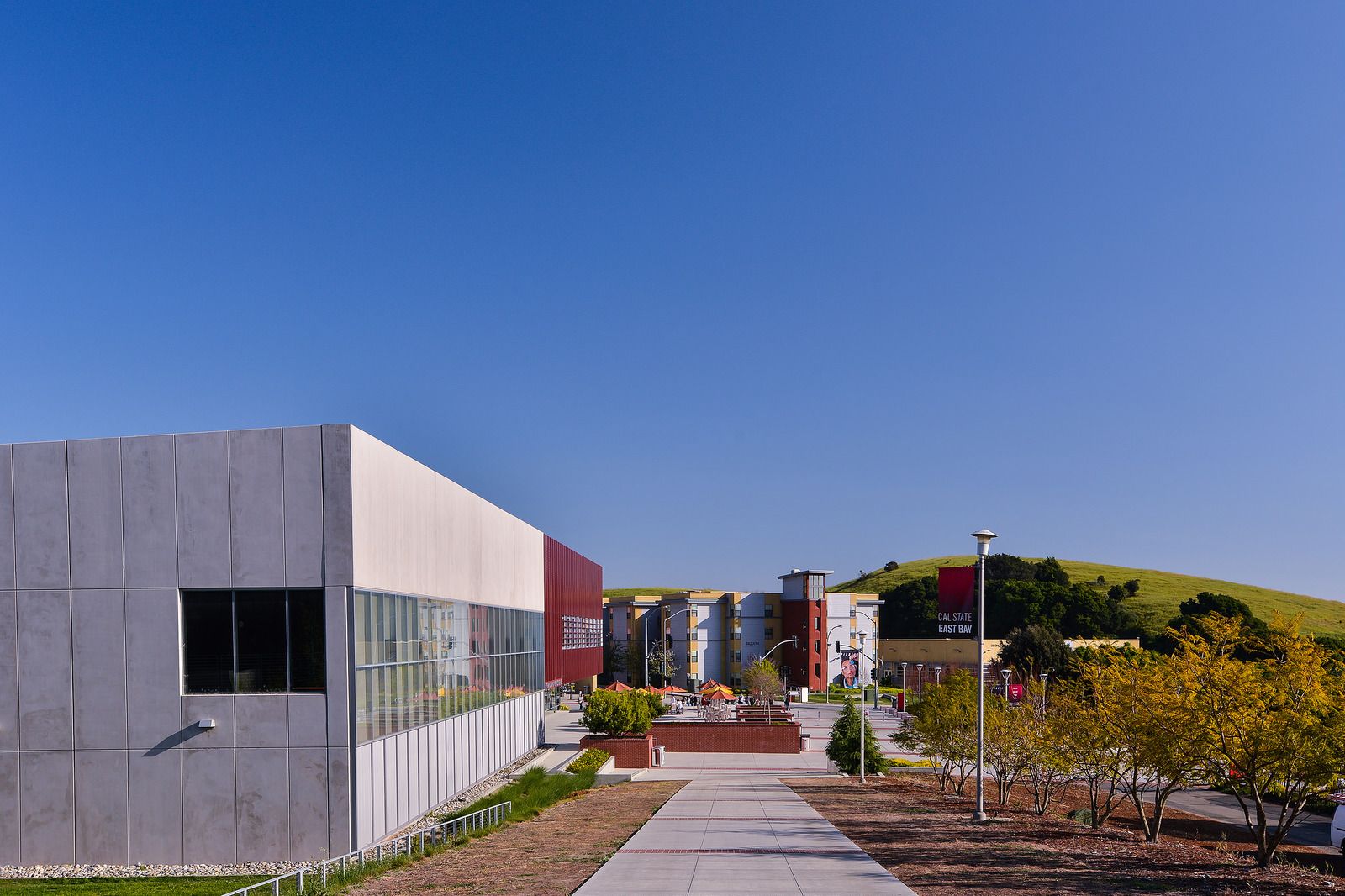 California State University-East Bay | Data USA