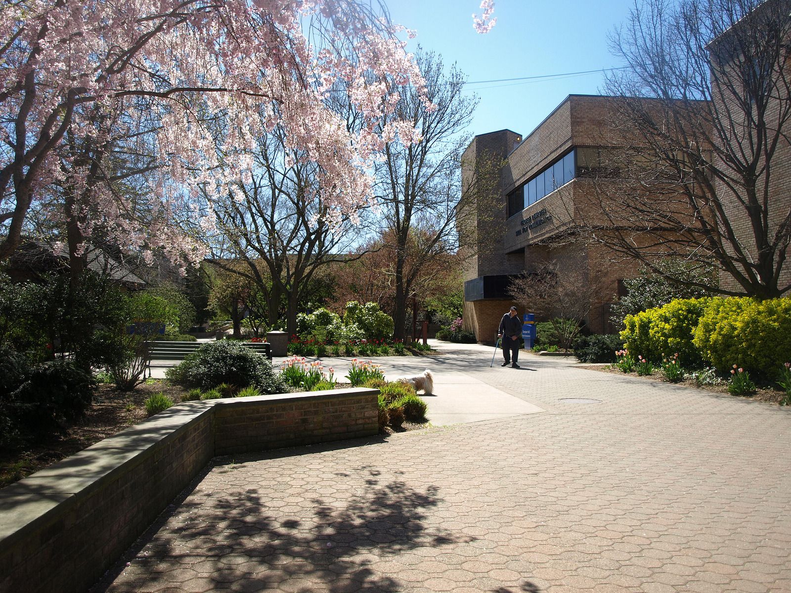 hofstra-university-data-usa