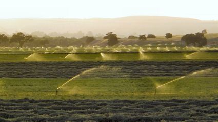 Agricultural Production Operations