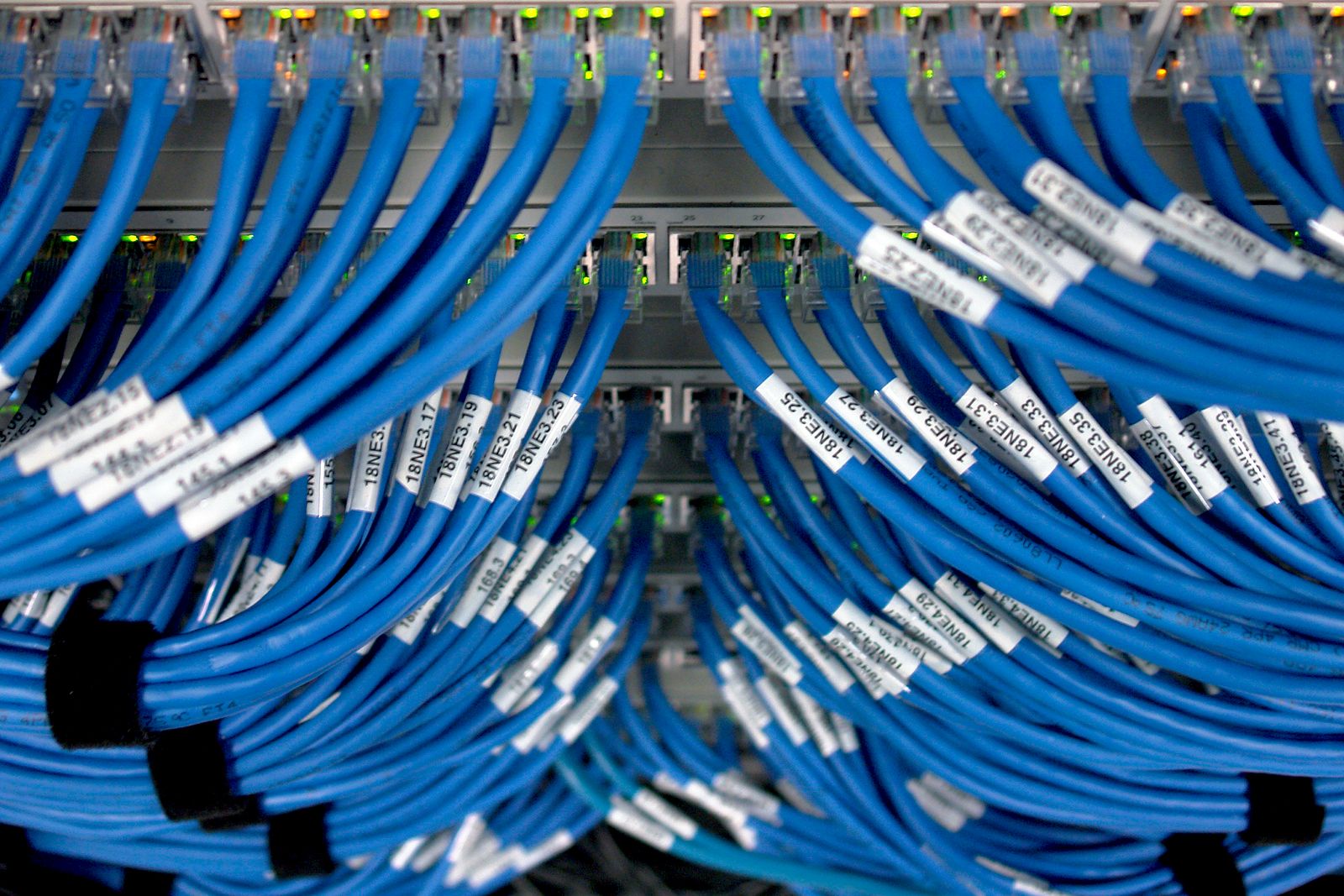Computer Science | Data USA