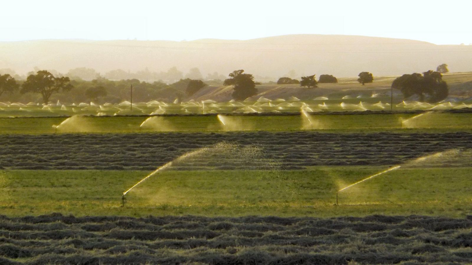 Viticulture & Enology | Data USA