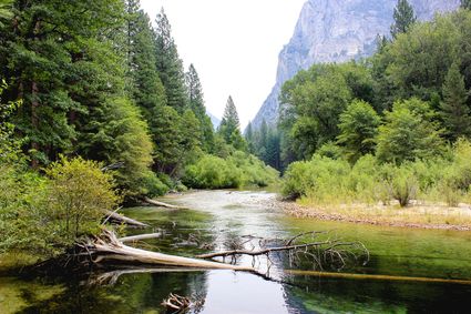 Fresno County, CA