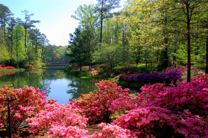 Chattooga County, GA