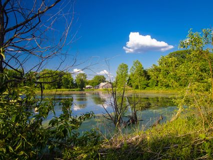 Blackford County, IN