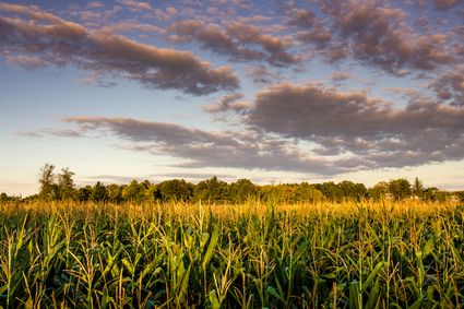 Benzie County, MI