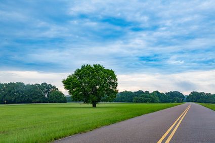 Bolivar County, MS