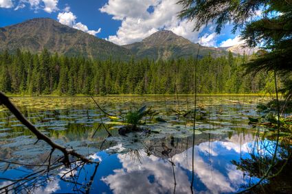 Granite County, MT