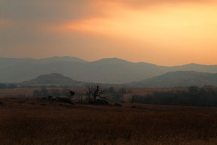 Comanche County, OK