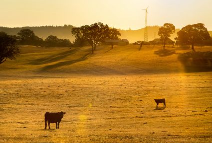 Marion County, OR