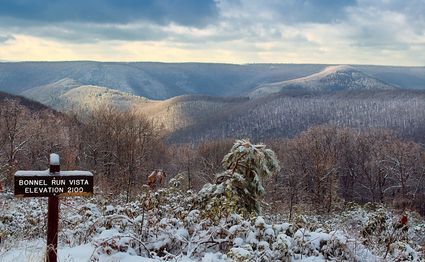 Lycoming County, PA