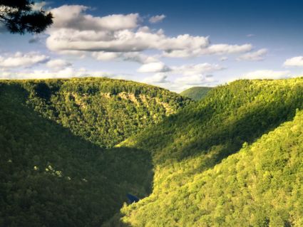 Tioga County, PA