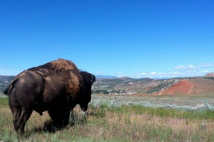 Hot Springs County, WY