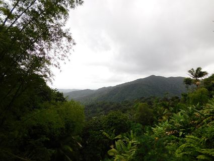 Río Grande Municipio, PR