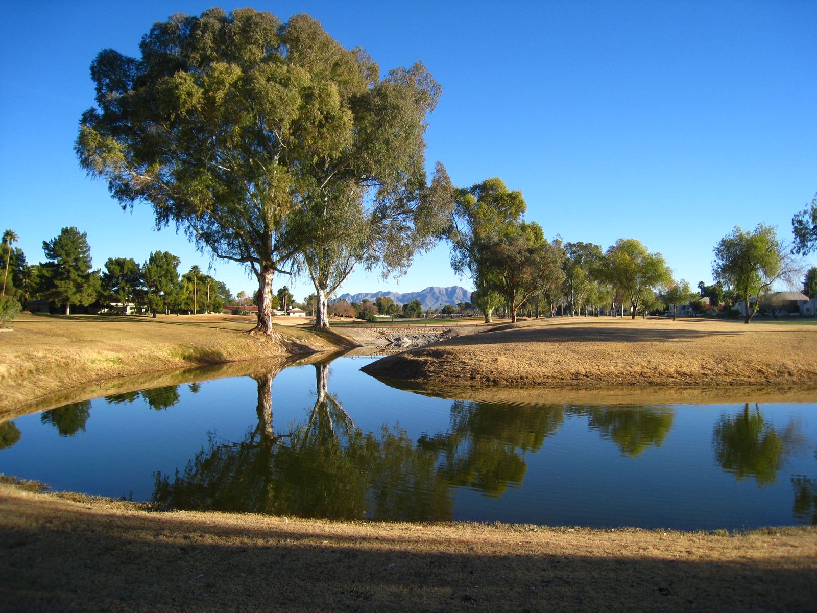 cecil-a-flanery-age-93-in-scottsdale-az-complete-background-info