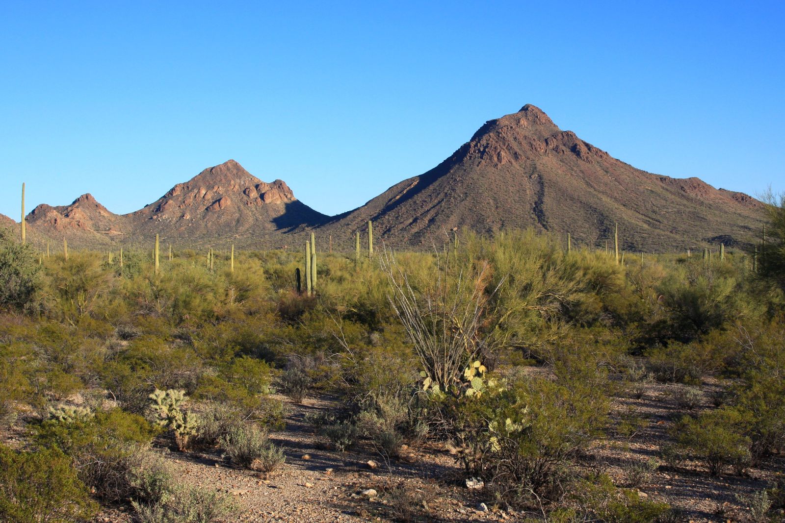 Lawrence R Broaddus Age 80 In Vail Az Complete Background Info