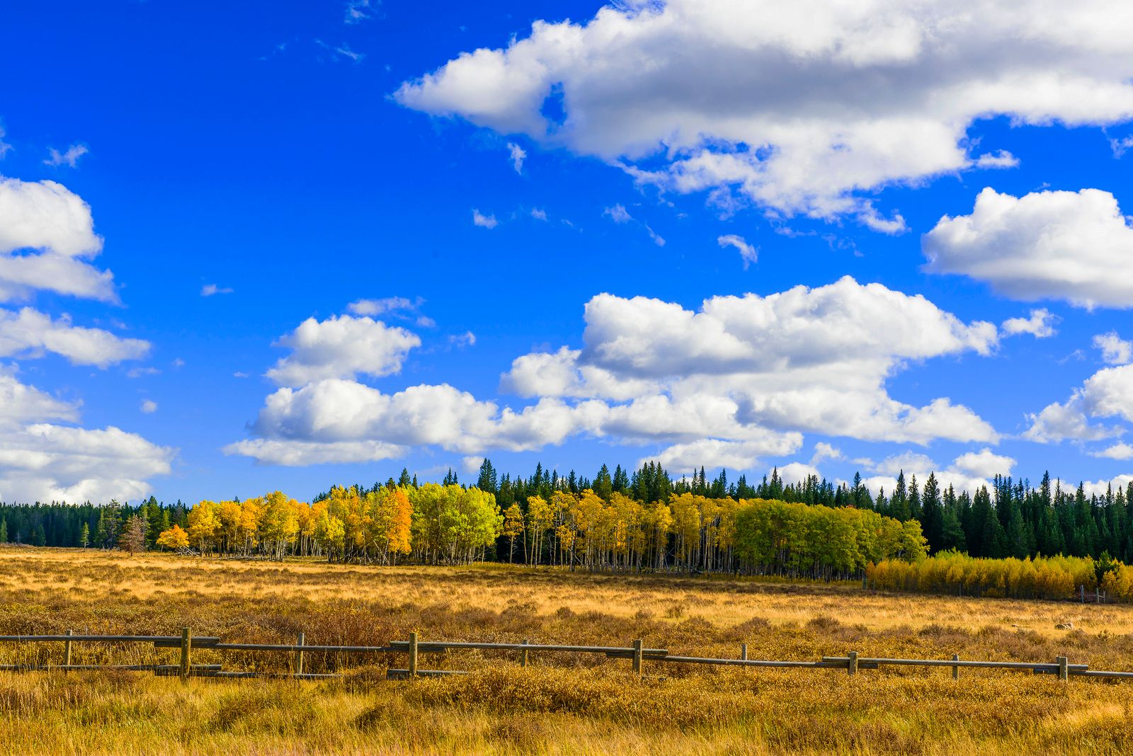 Sundance, WY | Data USA