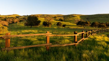 Congressional District 17, CA