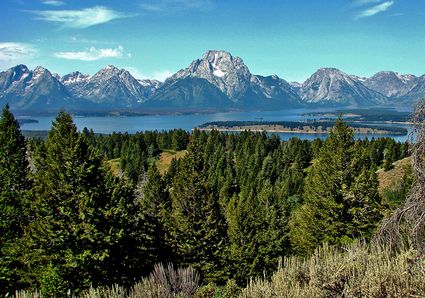 Congressional District (at Large), WY