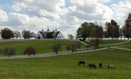 Bluegrass Area Development District (Central)--Lexington-Fayette County (North) PUMA, KY