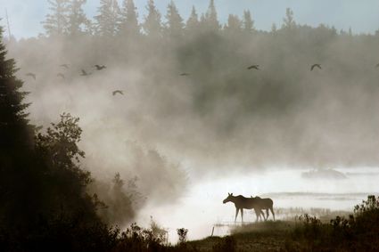 Aroostook & Washington Counties PUMA, ME