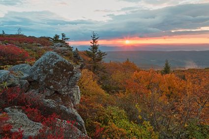 Berkeley, Jefferson, Mineral, Hampshire & Morgan Counties PUMA, WV