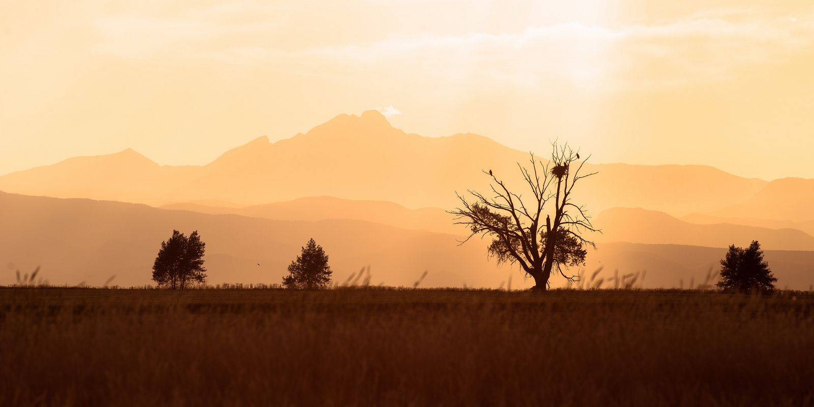 Bark Ranch, CO | Data USA