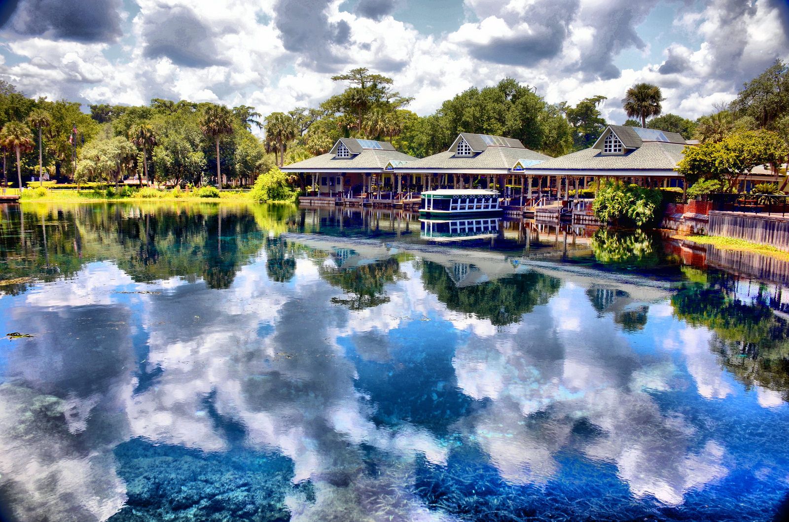 Belleview, FL | Data USA