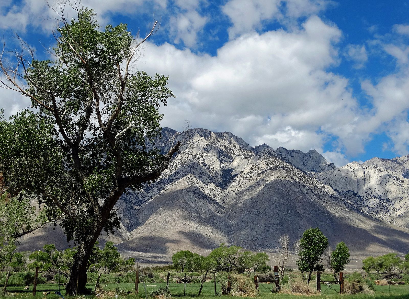 Big Pine, CA Data USA