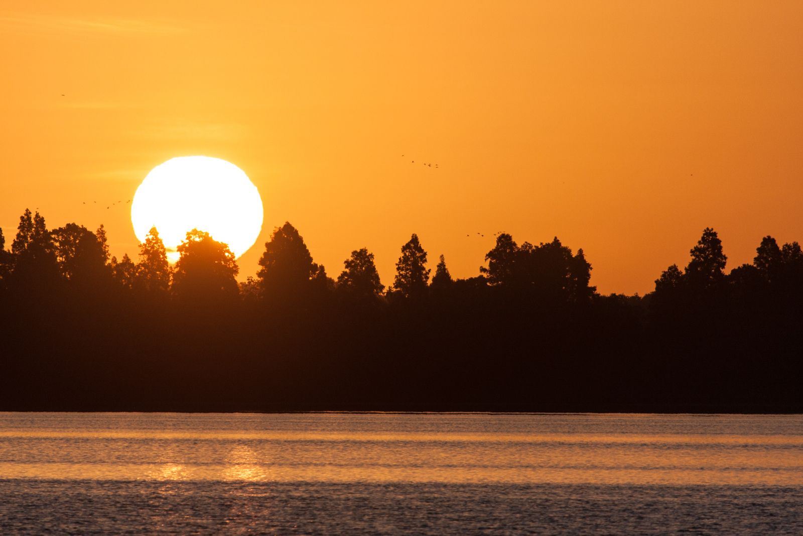 Bradley Junction, FL Data USA