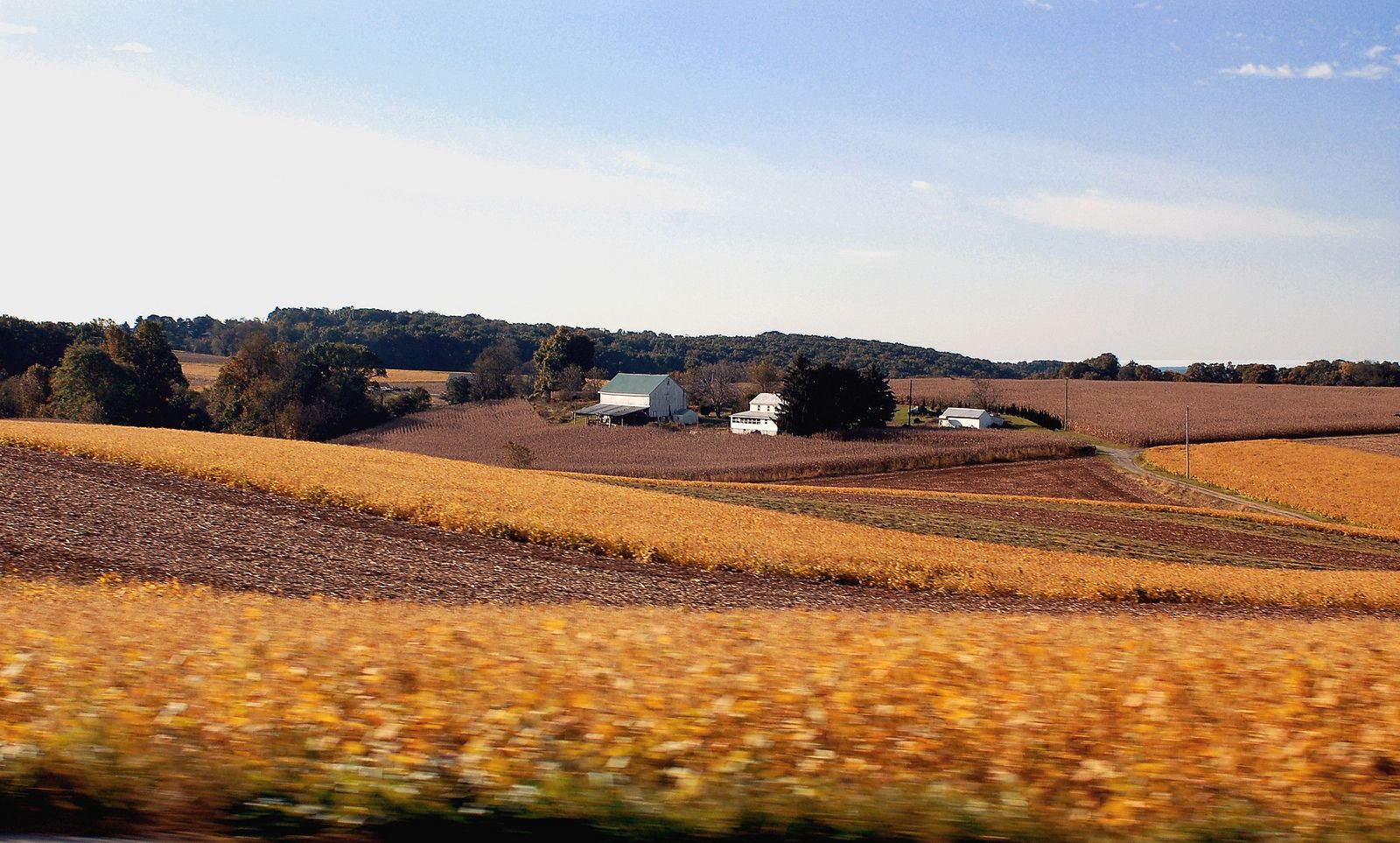 Brickerville, PA Data USA