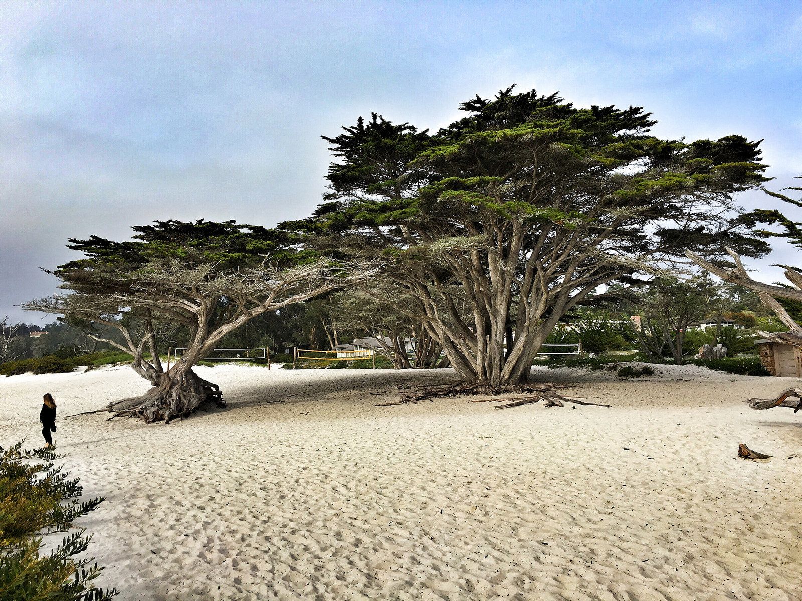 CarmelbytheSea, CA Data USA