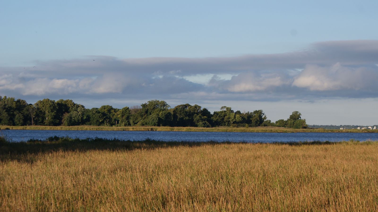 Chestertown, MD | Data USA