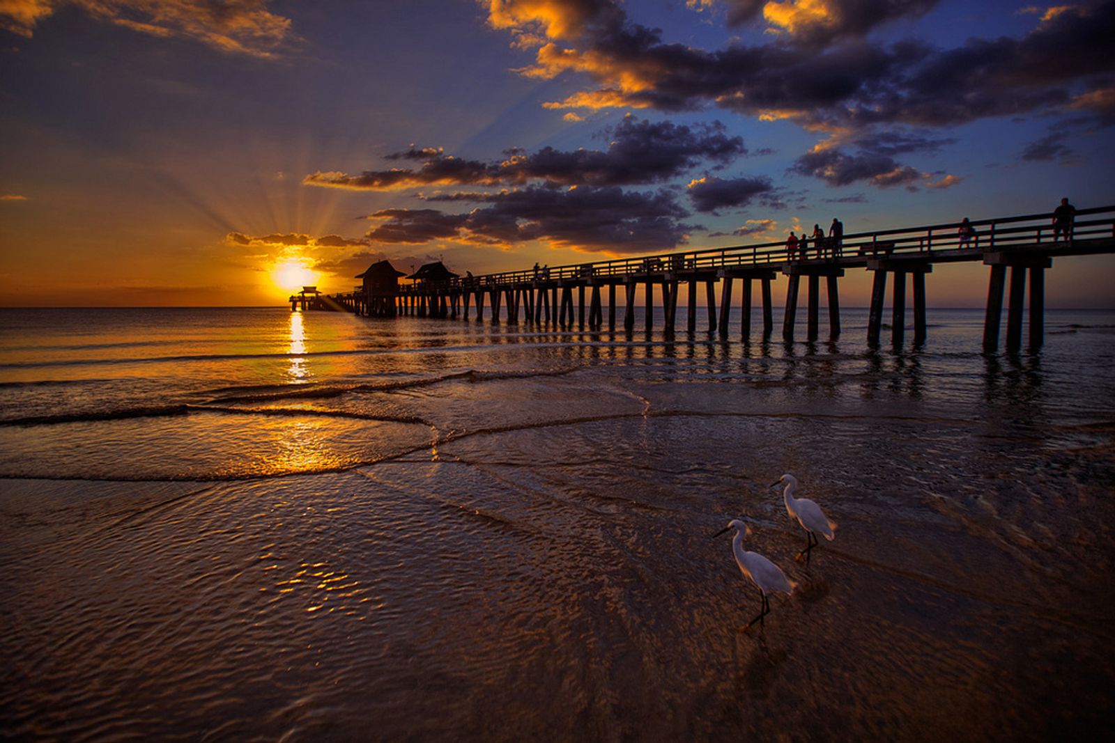 Collier County, FL  Data USA