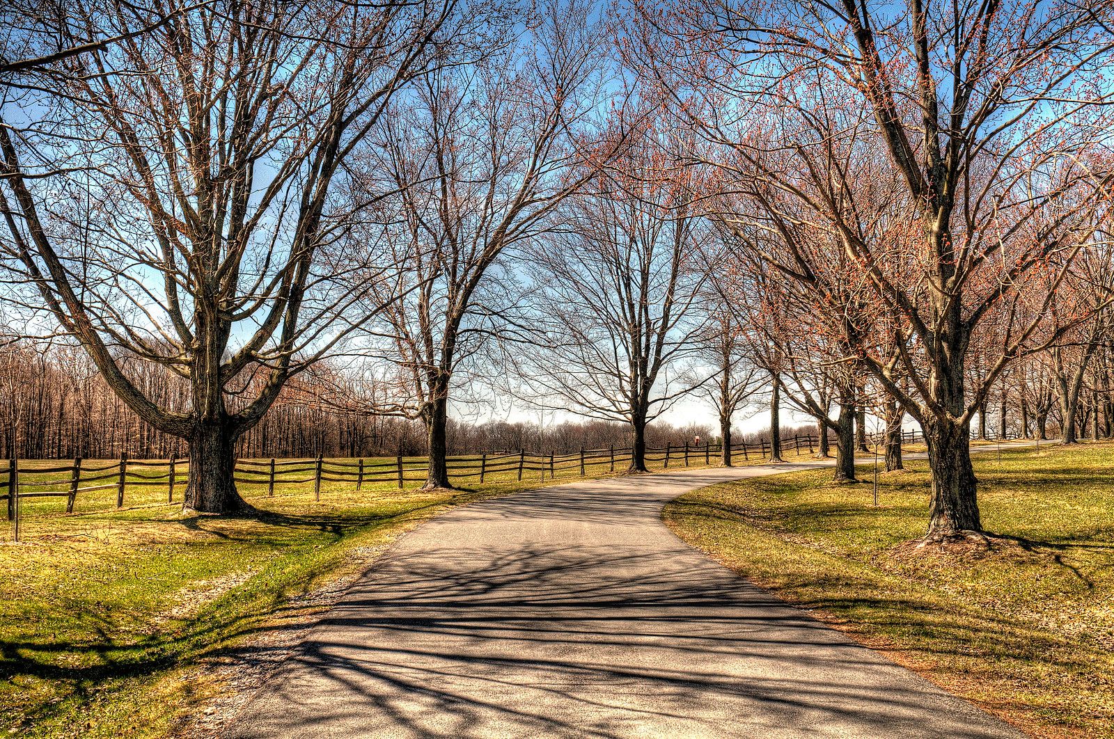 East Aurora, NY Data USA