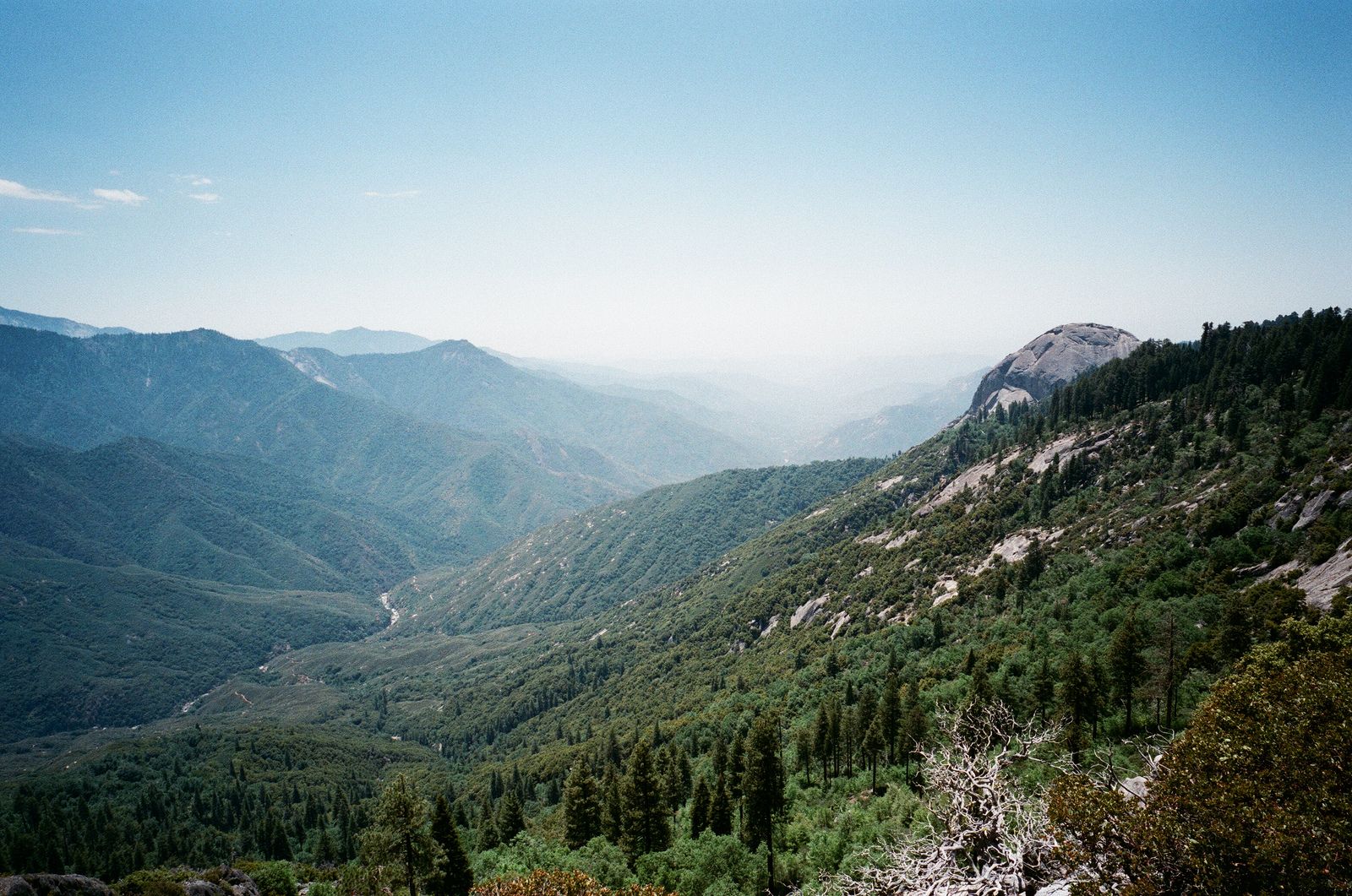 El Rancho, CA | Data USA