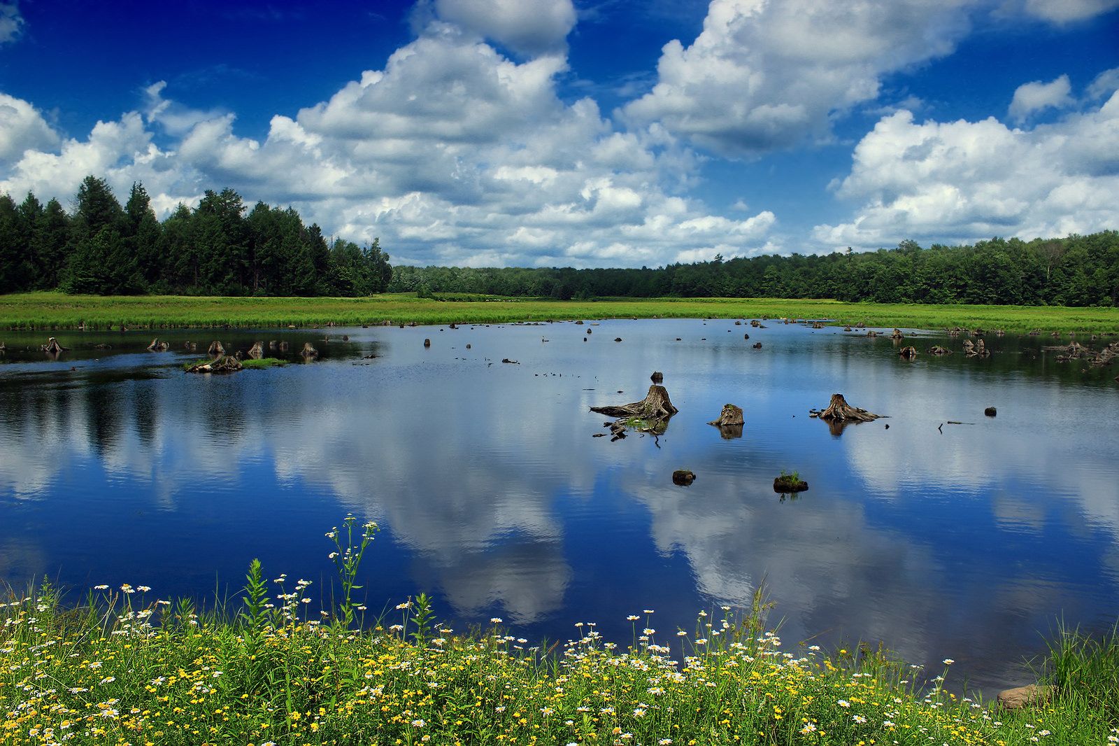 Lake