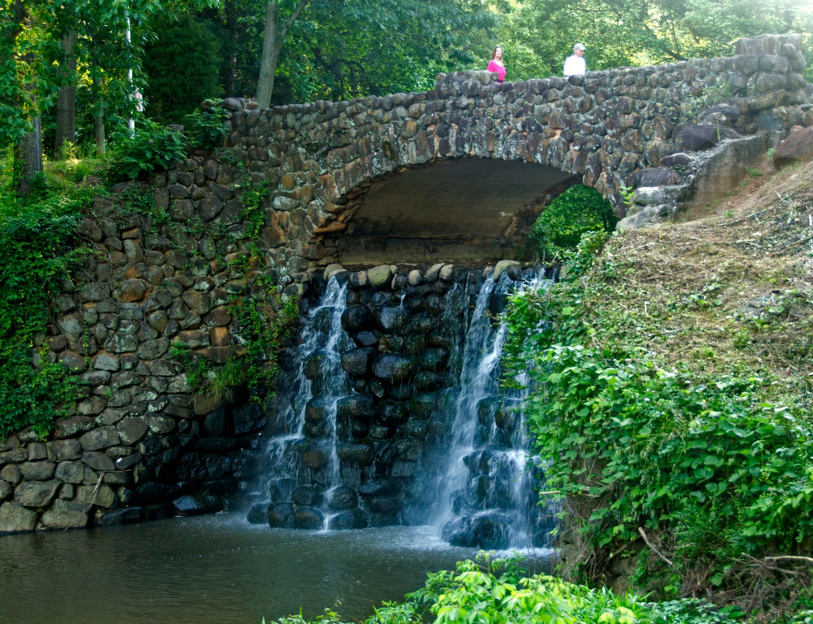 Forsyth County Nc Data Usa