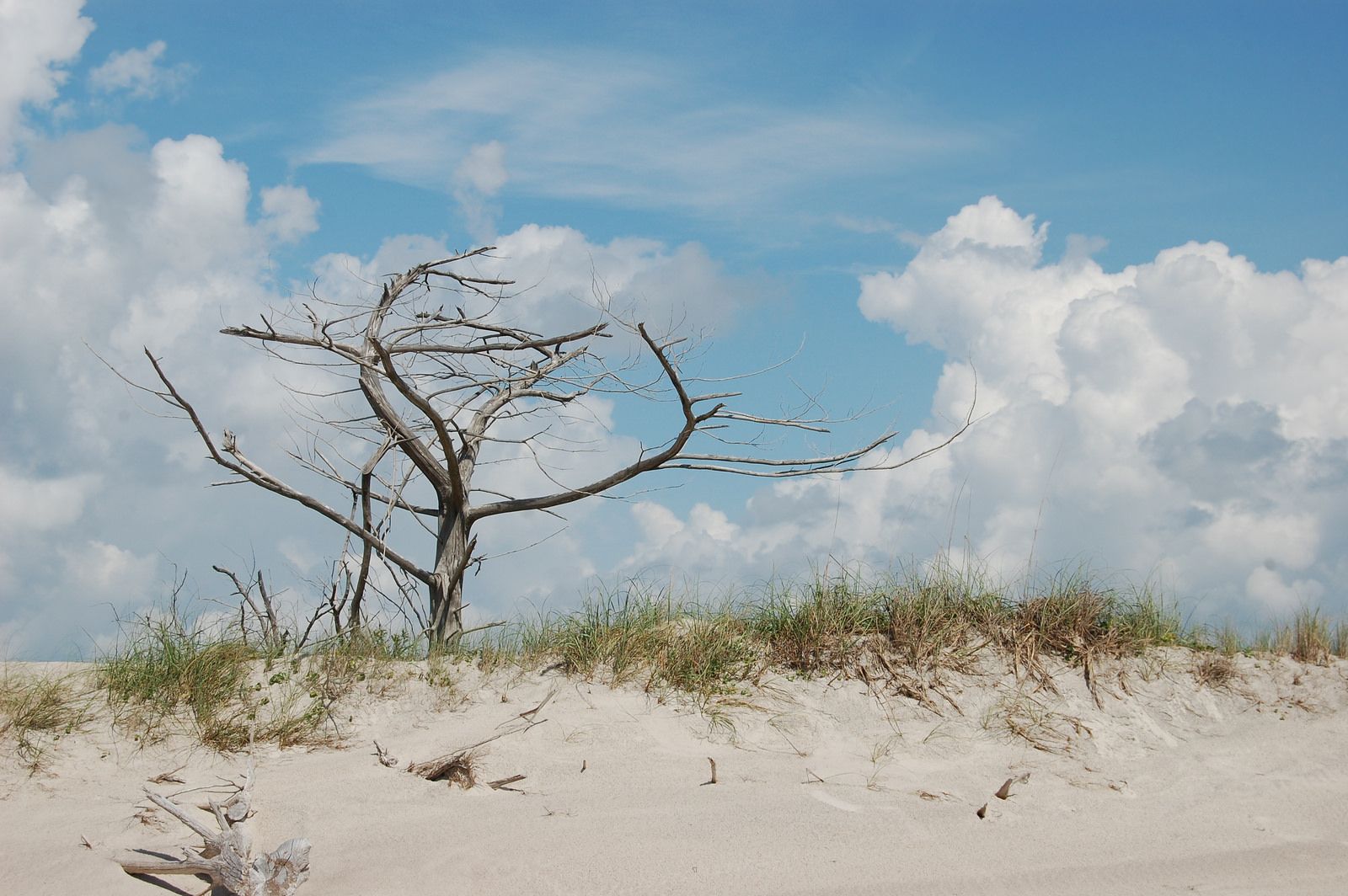 Holly Ridge, NC Data USA