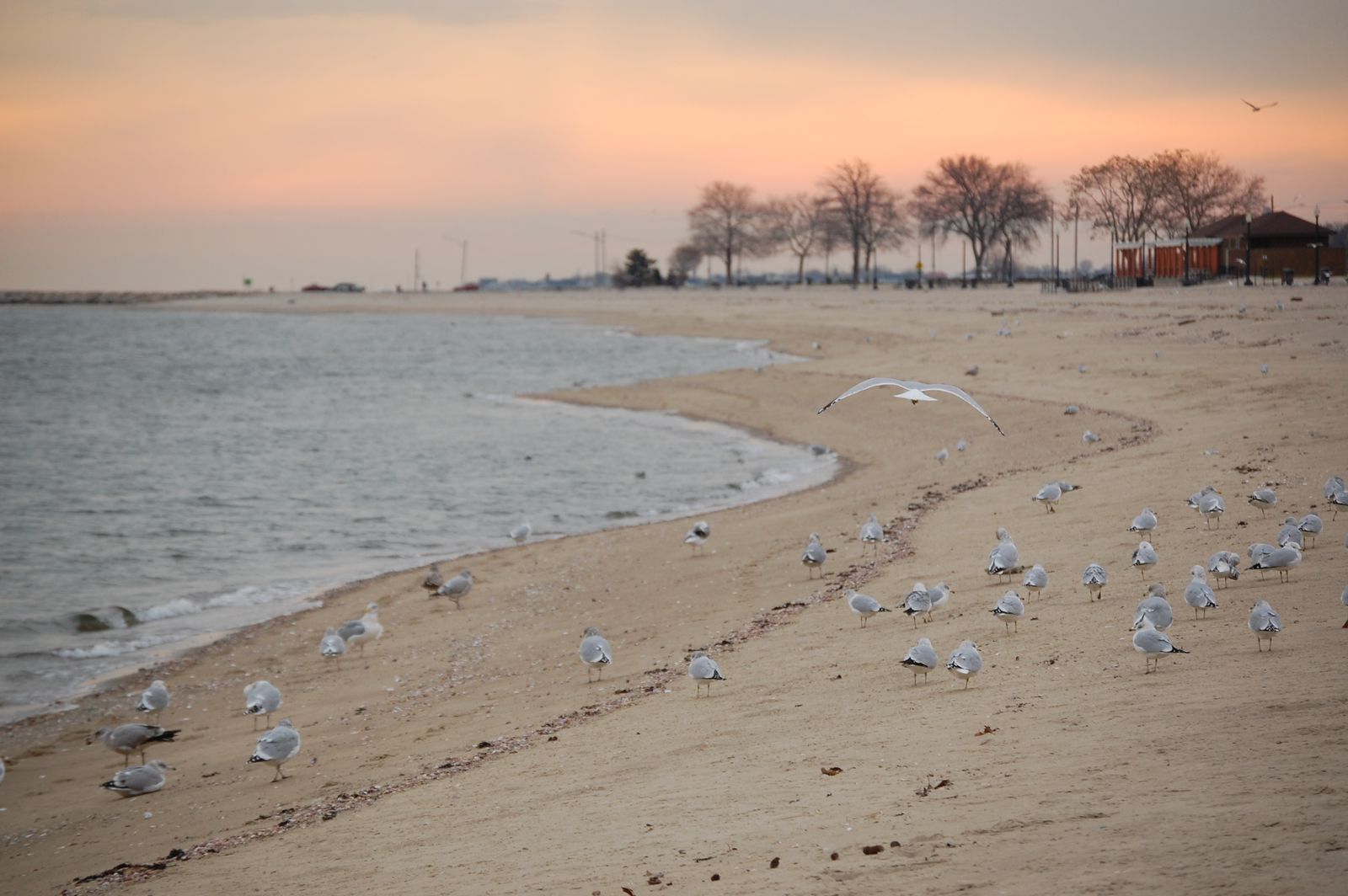 Norwalk, CT Data USA