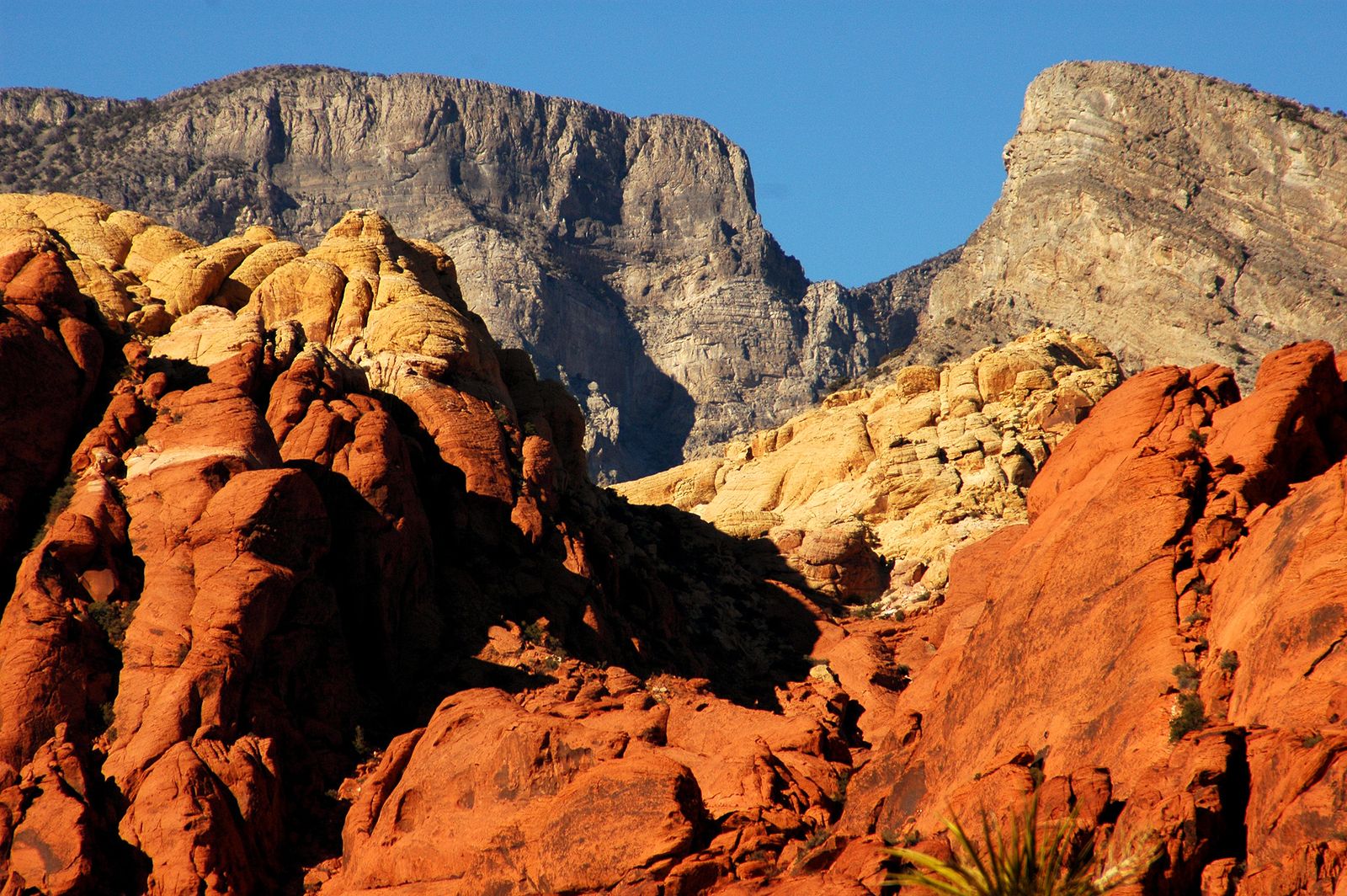 Red Rock Az Data Usa