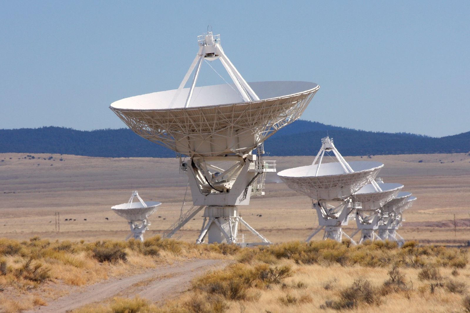 Silver City, NM Data USA