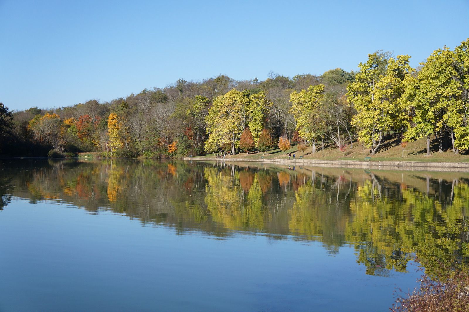 Westmoreland County, PA | Data USA