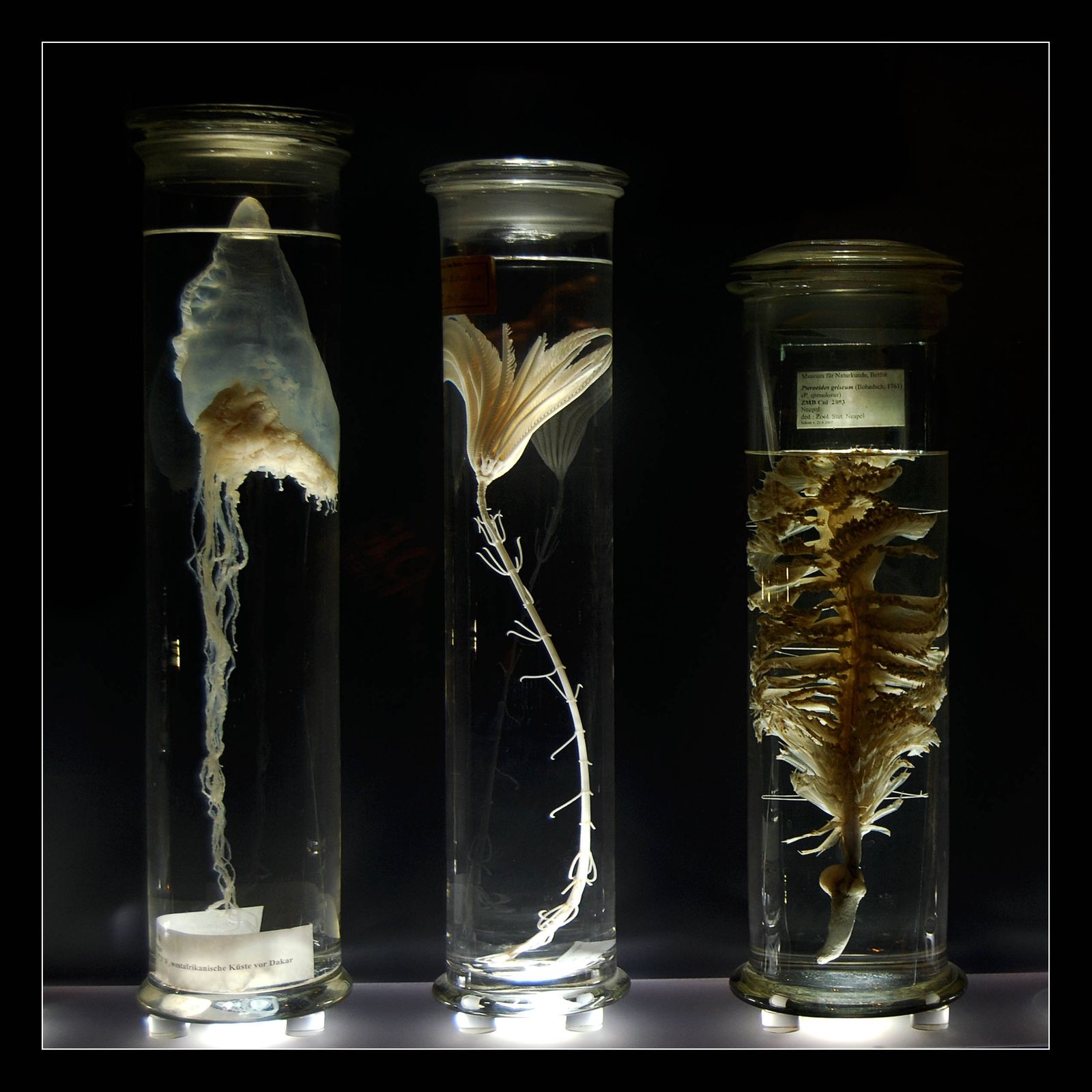 Biological scientists | Data USA