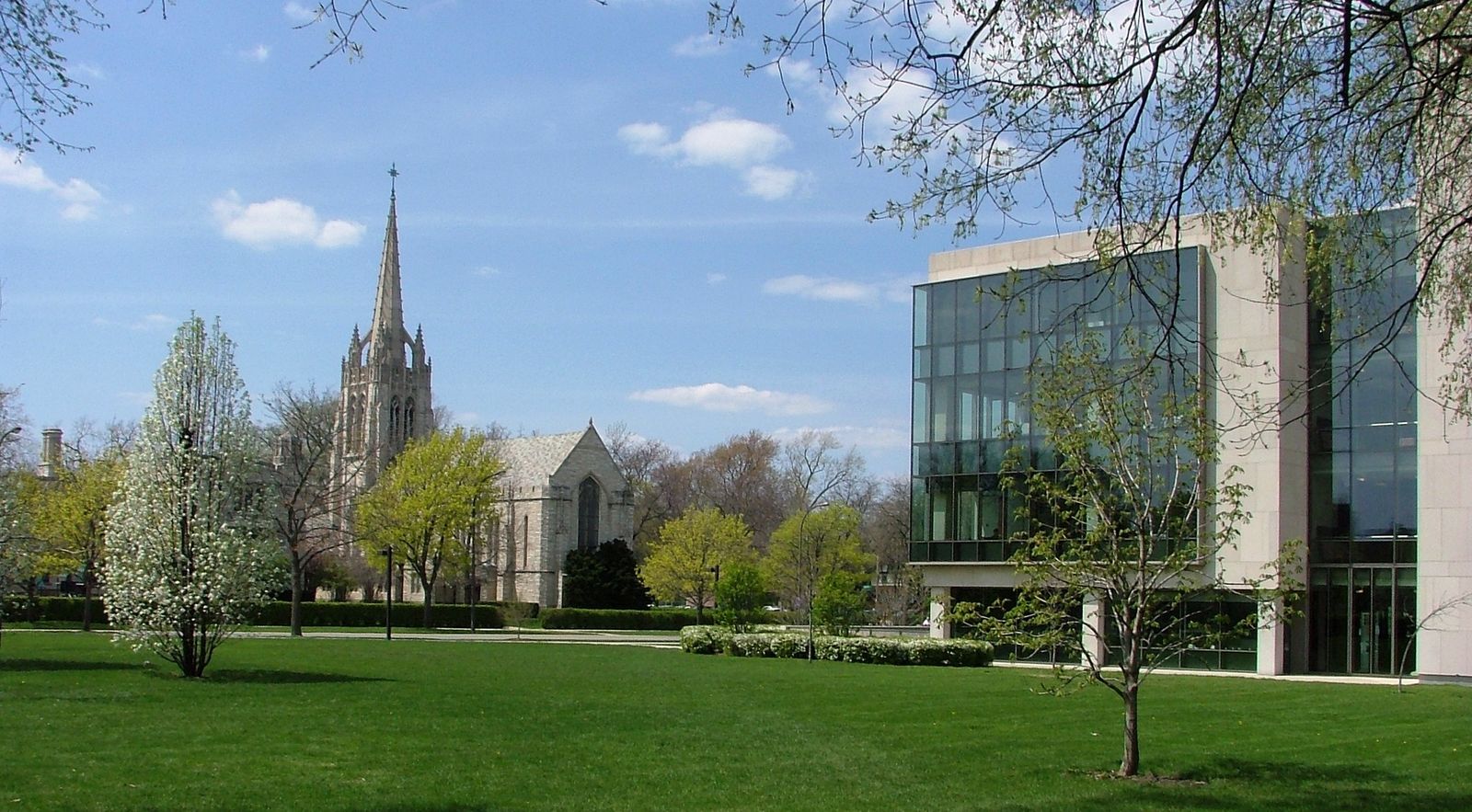 northwestern university travel clinic