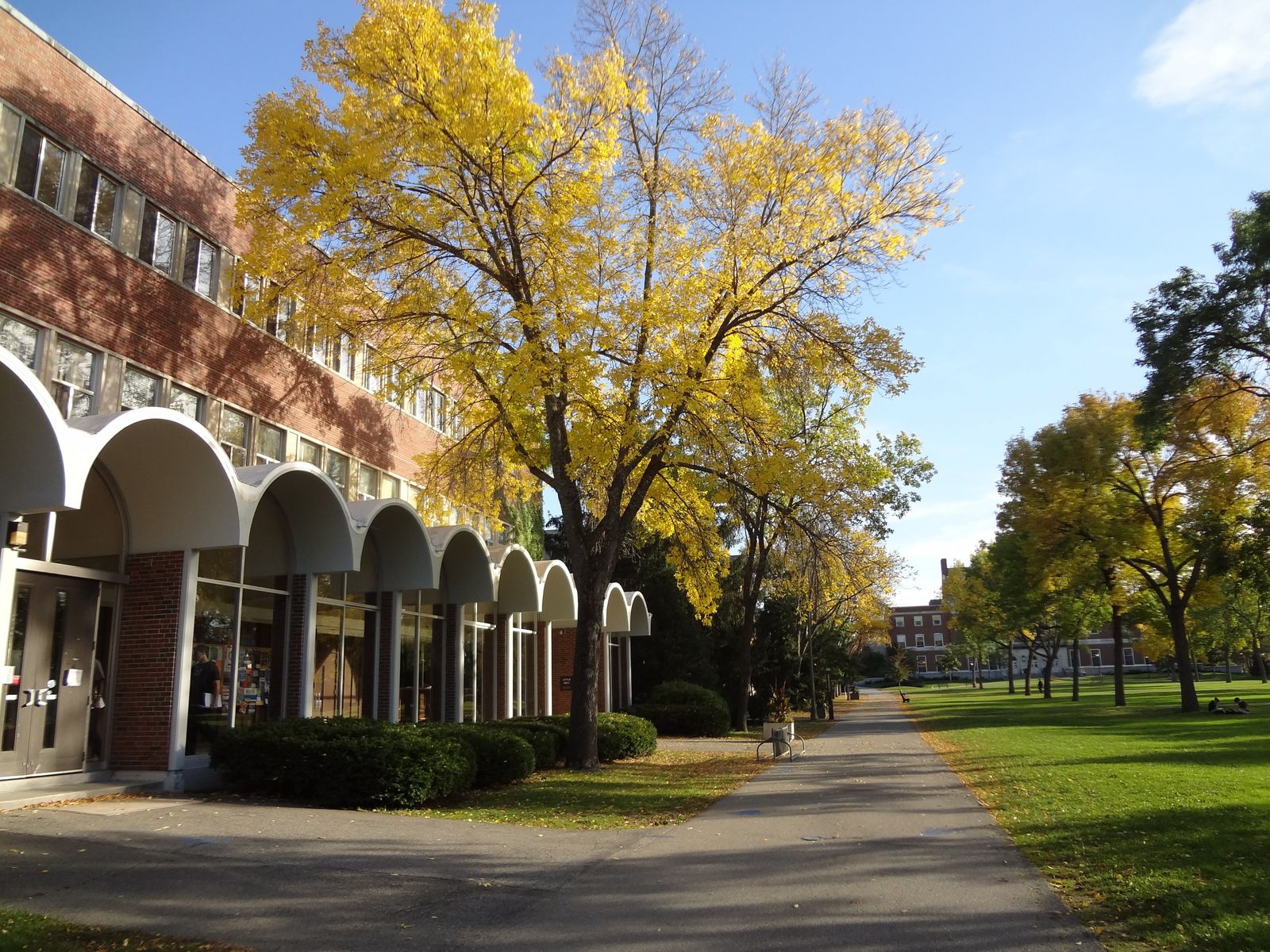 university of maine chemistry phd